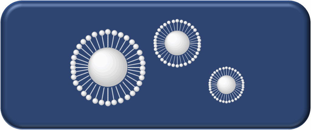 Functional Nanoparticles