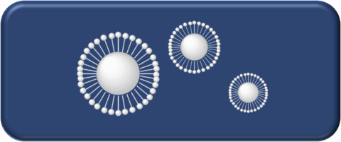 To the page:Functional Nanoparticles
